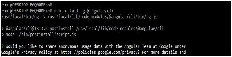 installing angular CLI by using the npm command