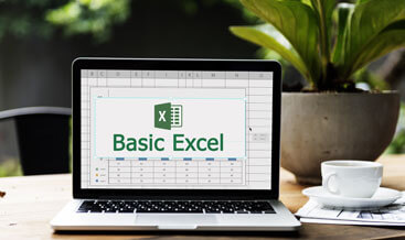 Basic Excel