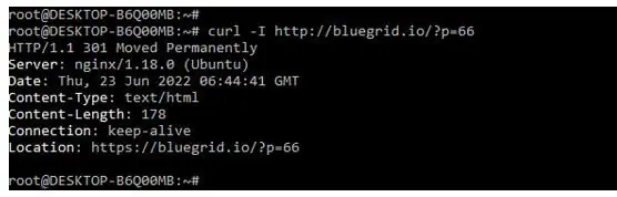 executing the curl command on the bluegrid.io URL