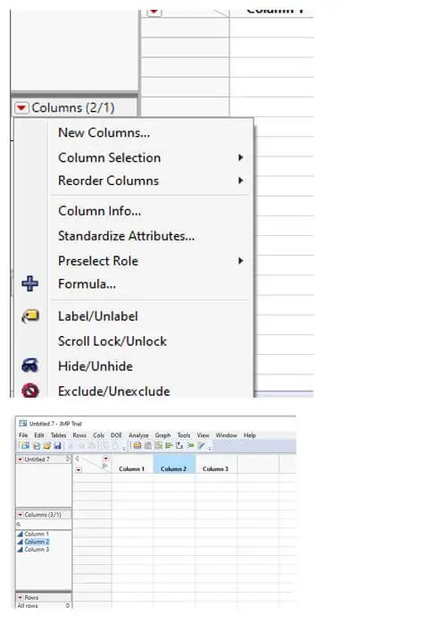 SAS JMP - add column and row