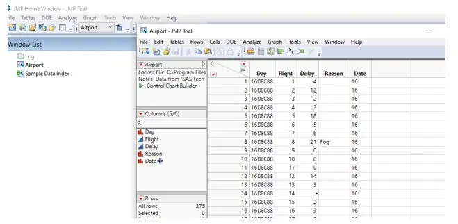 5 columns - Day, Flight, Delay, Reason, and Date