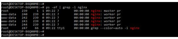 Nginx Forbidden | How to Fix Nginx 403 Forbidden Error?