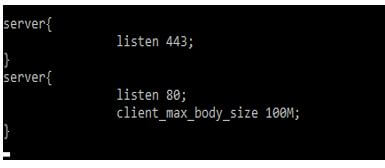 Nginx Max Upload Size 11