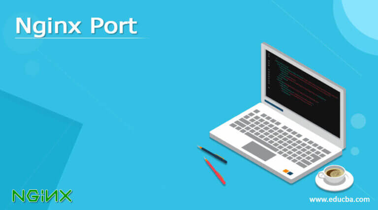 nginx server_name ip   port