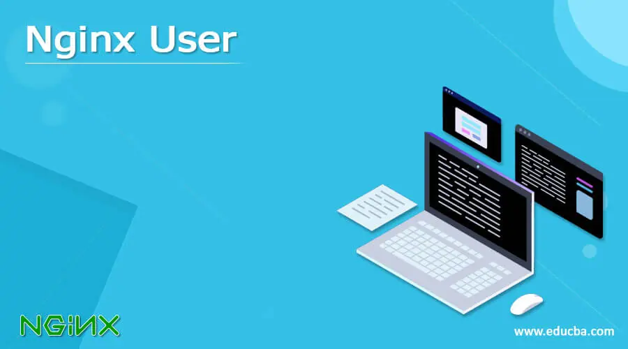 Nginx User