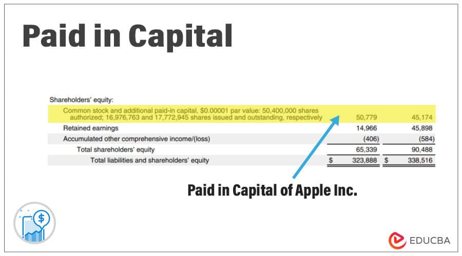 Paid Up Share Capital Calculation