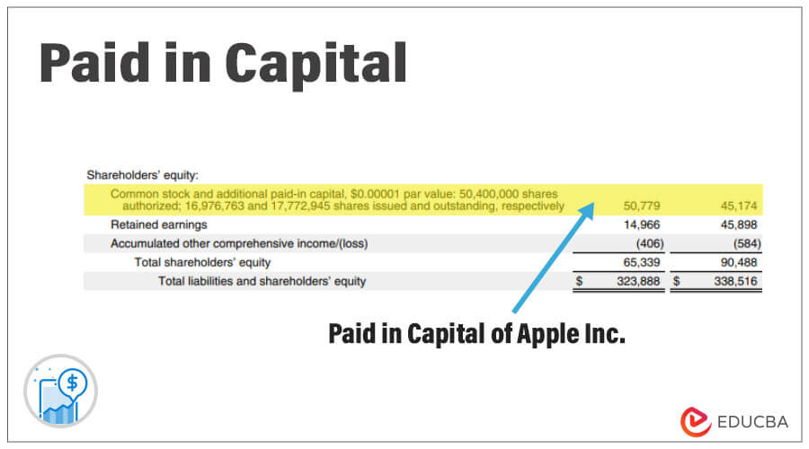 Paid In Capital How To Calculate A Paid In Capital Balance Sheet 