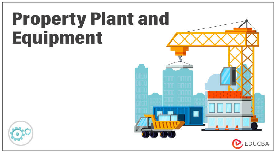 Property Plant and Equipment