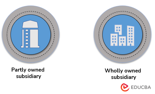 Types of Subsidiary Company