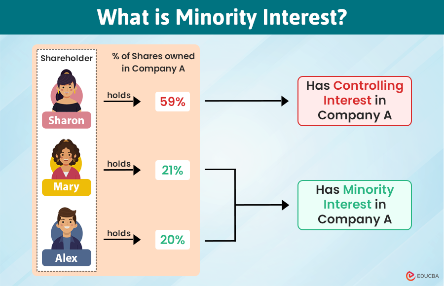 What is Minority Interest