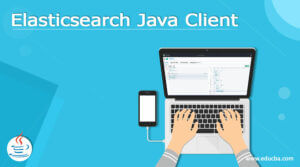 Elasticsearch Java Client | Running And Application With Examples