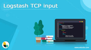 Logstash TCP Input | How To Configure Logstash TCP Input With Example?