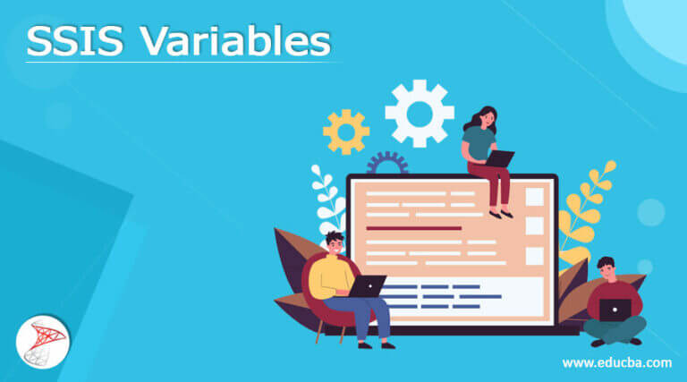 SSIS Variables | How to set SSIS variables with Examples?