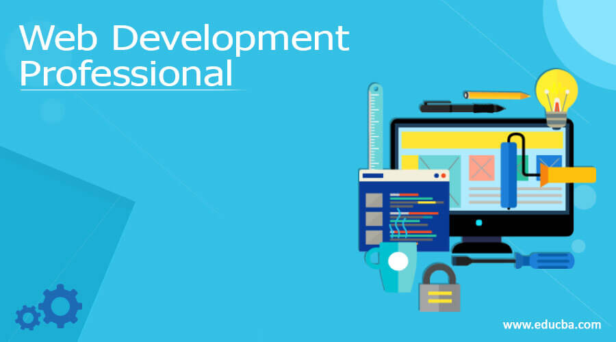 Web Development Professional