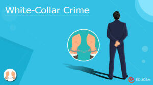 White-Collar Crime - Meaning, Types, Causes & Punishments