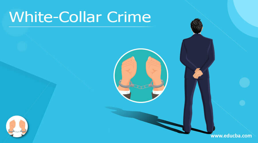 examples of white collar crime essay