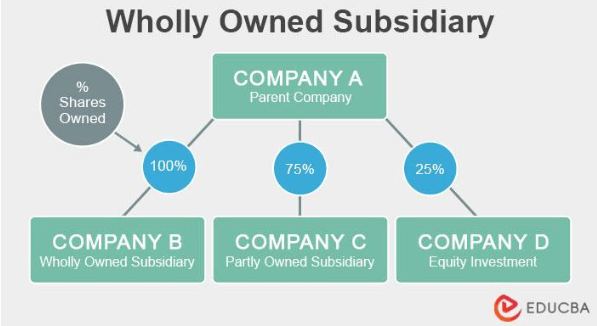 Parent Company: Definition, Types, And Examples, 55% OFF