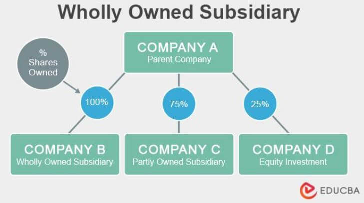 difference-between-holding-and-subsidiary-company