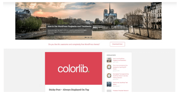 WordPress Theme 1