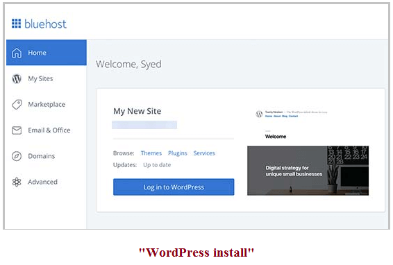 WordPress Website 3