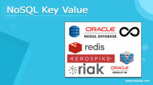 NoSQL Key Value | How does NoSQL Key-Value Works with its Types?