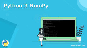 Python 3 NumPy | How to Install Python 3 NumPy?