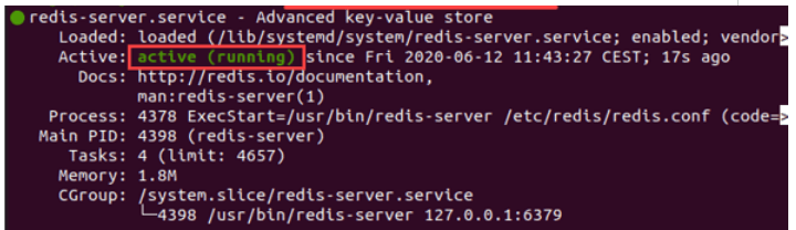 Redis CLI Commands port number and IP address