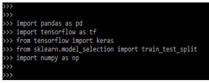 Keras Binary Classification Importing