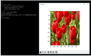 Keras Data Augmentation | How to Use Image Augmentation in Keras?