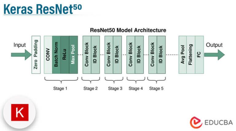 Keras ResNet50 Image File Handling And Transfer Learning
