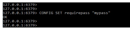 executing the config set command