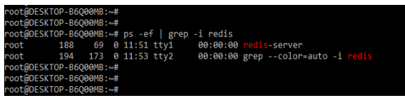 Redis Monitor - process of the database
