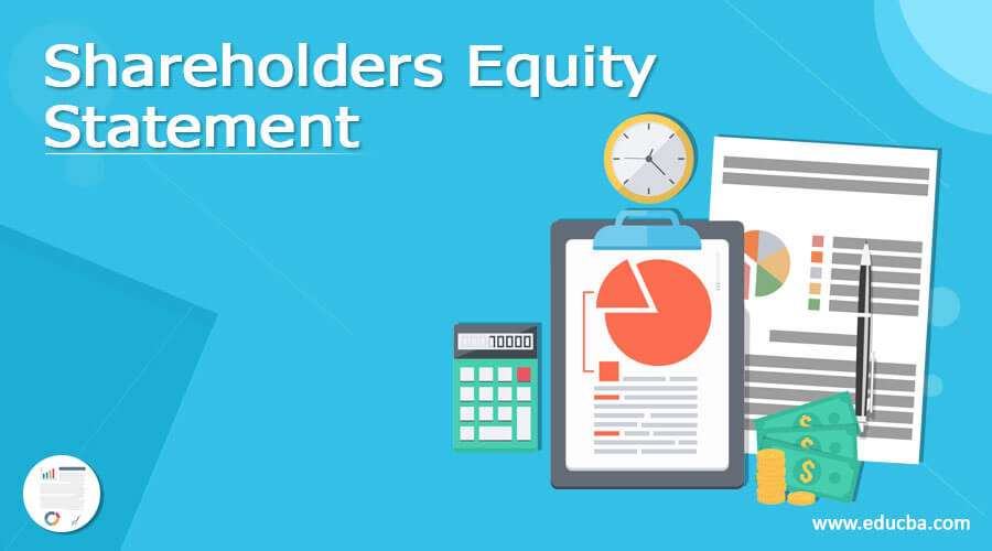 Shareholders Equity Statement
