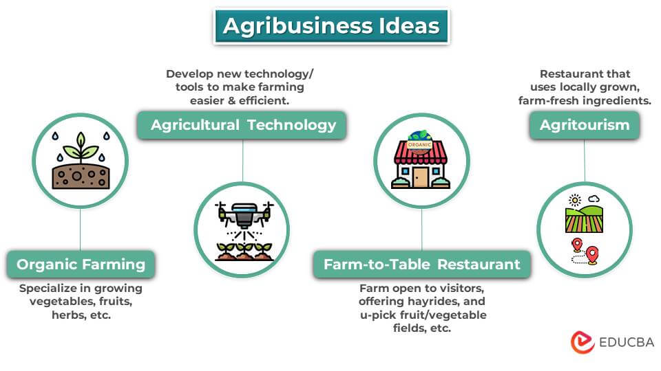 Agribusiness Ideas