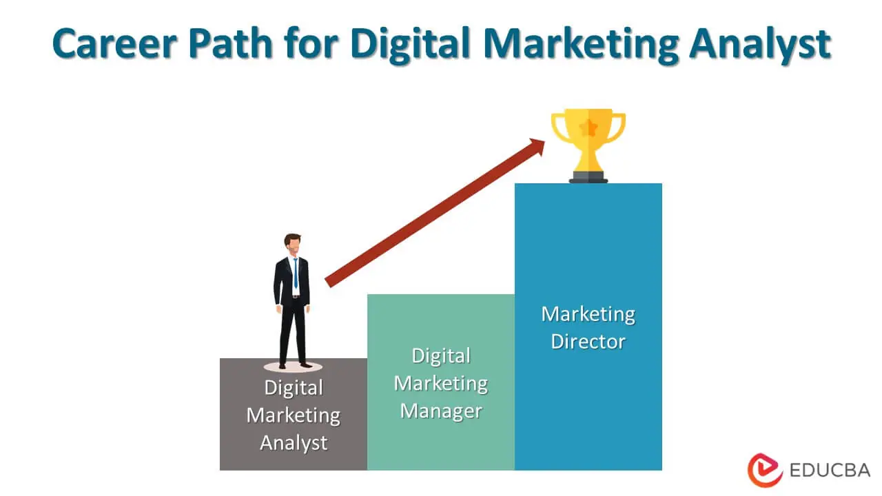 Plano de carreira para analista de marketing digital