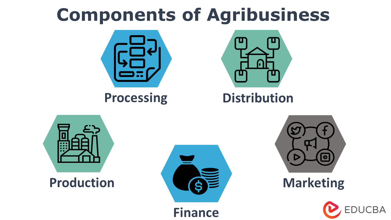 Components of Agribusiness