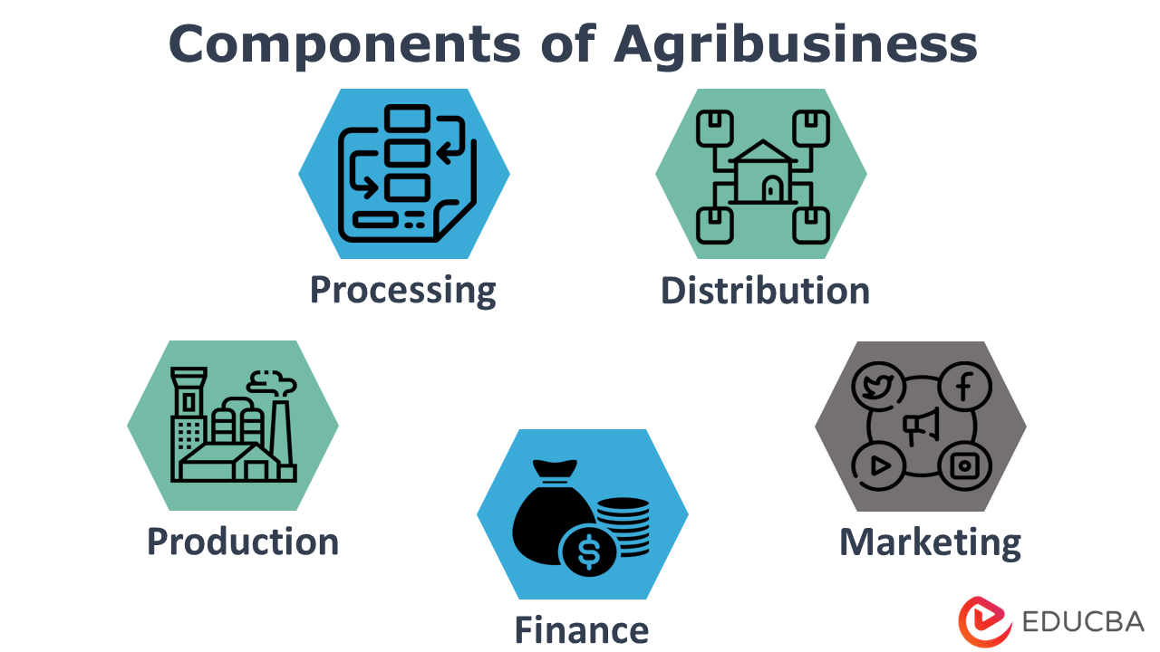 Agribusiness Purpose Example Components And Importance