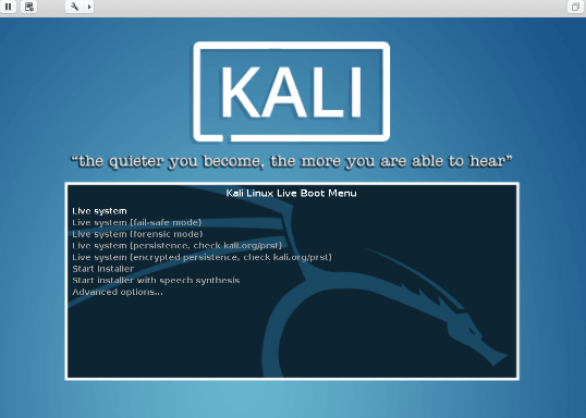 Booting Kali Linux USB.