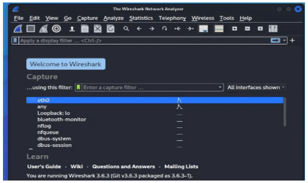 Kali Linux Wireshark Tool