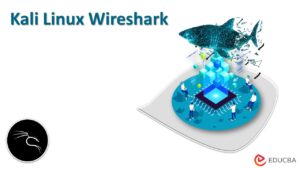 Kali Linux Wireshark | How to Install & Use Wireshark on Kali Linux?