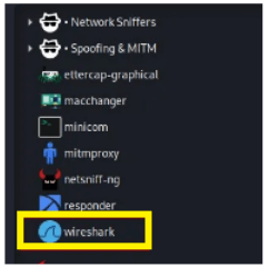 Kali Linux Wireshark Tab