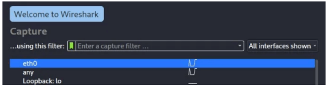 Capture the network traffic