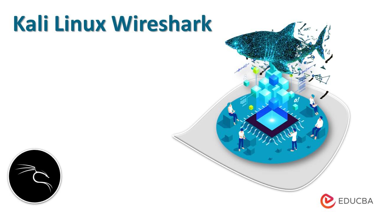 Wireshark kali linux как пользоваться