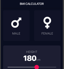 ReactJS Project Examples - BMI calculator