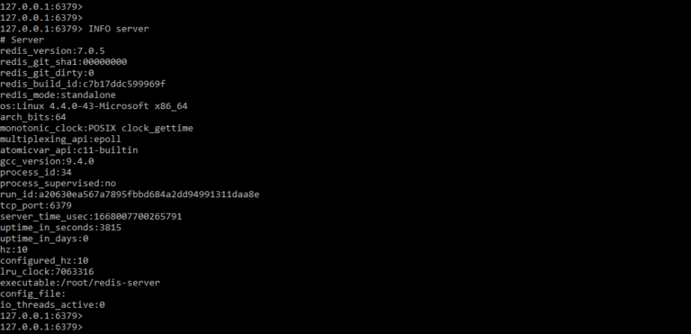 Redis INFO | Redis Server Info Command with Server and Clients Section