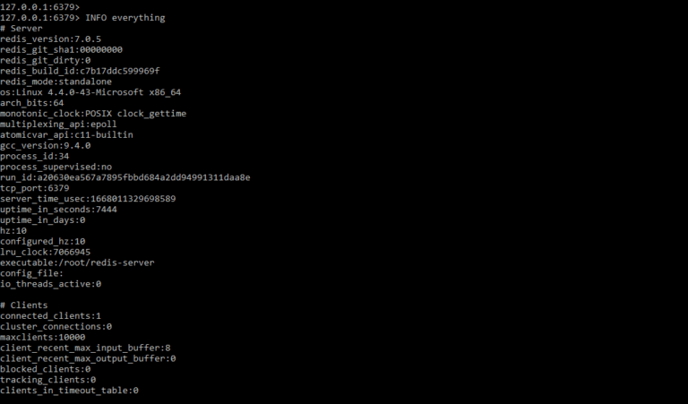 Redis INFO | Redis Server Info Command with Server and Clients Section
