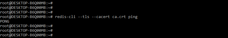 Using ca.crt file