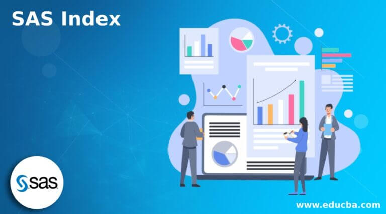 SAS Index | Uses and Function of SAS Index with its Types