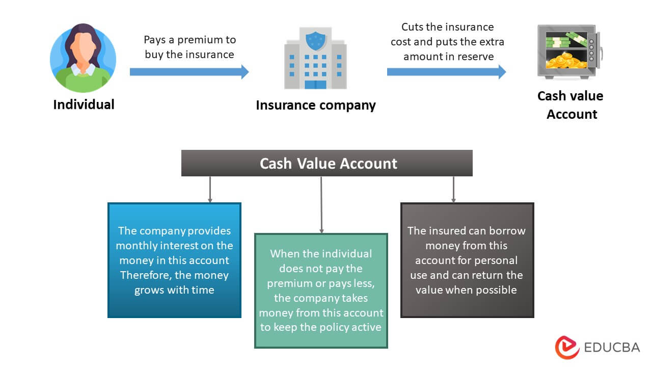 Universal Life Insurance Meaning Types Components Benefits