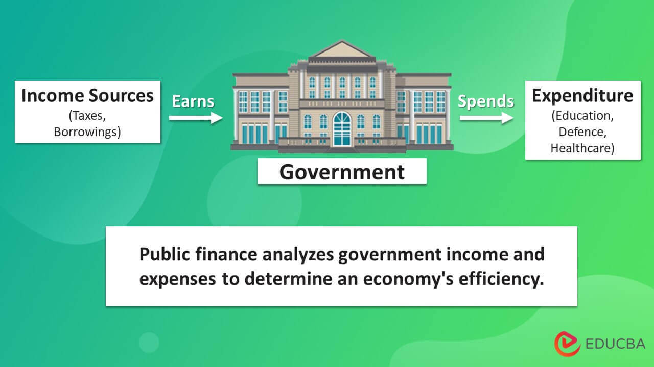 Public Finance Definition Examples Components Scope